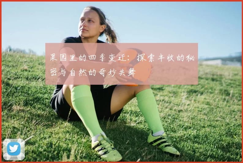 果园里的四季变迁：探索丰收的秘密与自然的奇妙共舞