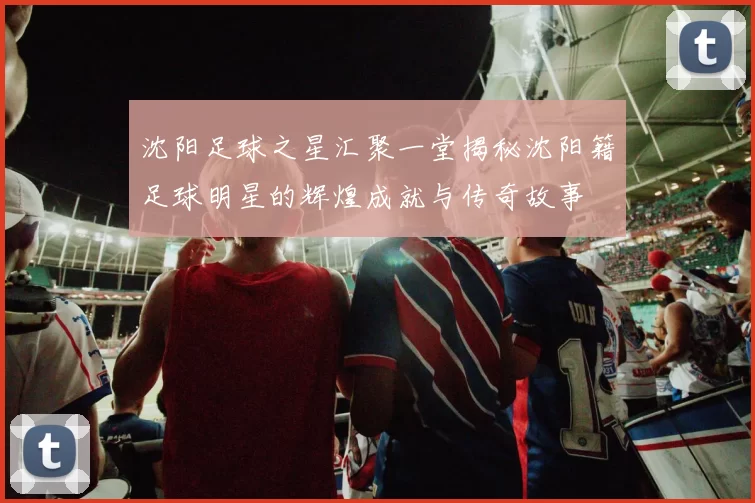 沈阳足球之星汇聚一堂揭秘沈阳籍足球明星的辉煌成就与传奇故事