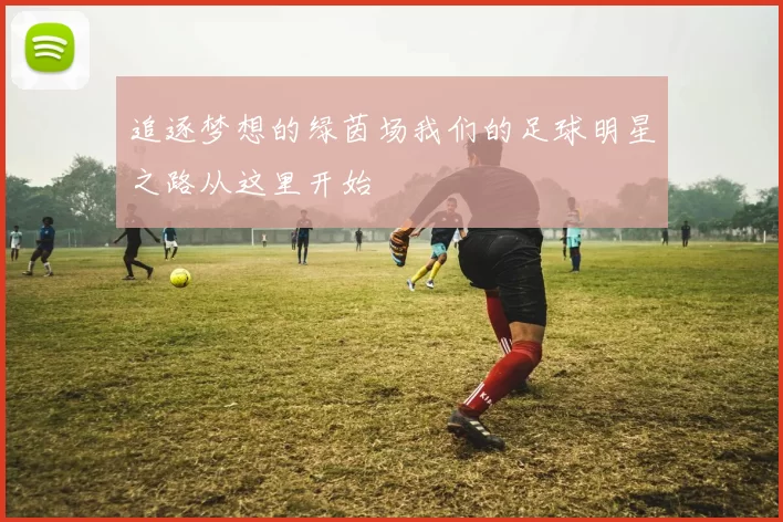 追逐梦想的绿茵场我们的足球明星之路从这里开始