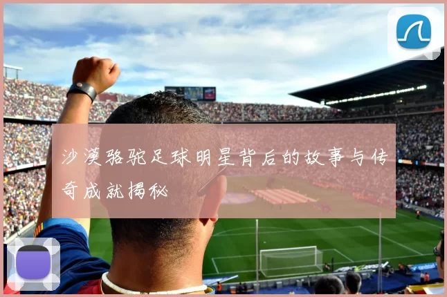 沙漠骆驼足球明星背后的故事与传奇成就揭秘