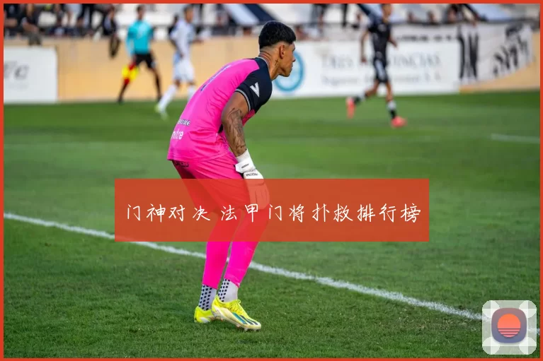 门神对决 法甲门将扑救排行榜