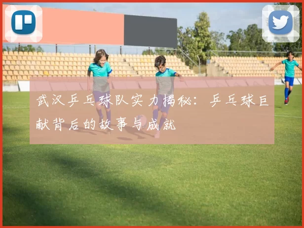 武汉乒乓球队实力揭秘：乒乓球巨献背后的故事与成就