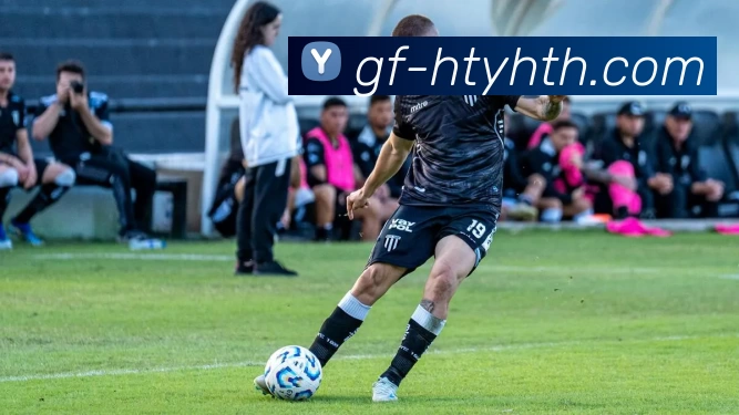 App Interface Preview