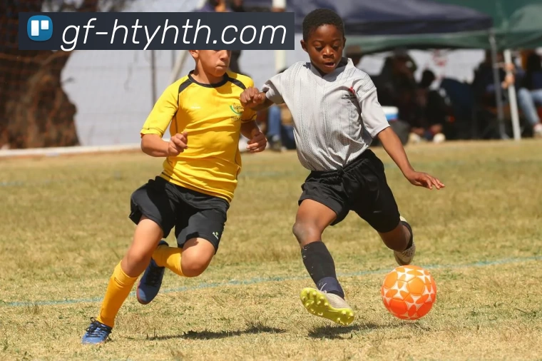 华体会APP 封面图